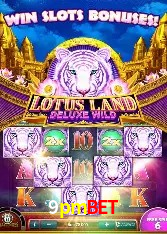 Mesa de Roleta 9pmbet